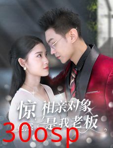 惊相亲对象竟然是我老板