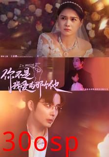 你不是我爱的那个他