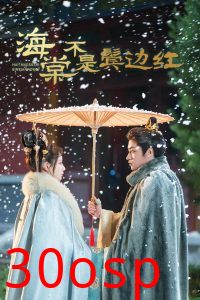 海棠不是鬓边红