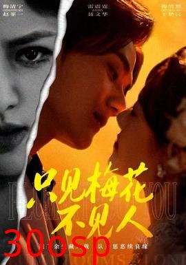 只见梅花不见人