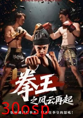 拳王之风云再起