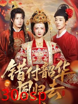 错付韶华凤归去