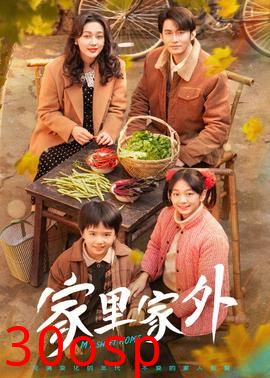家里家外