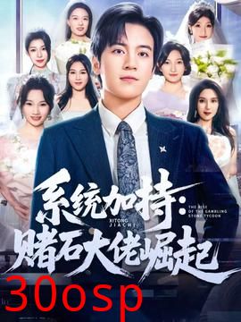 统加持：赌石大佬崛起