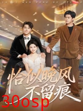 恰似晚风不留痕