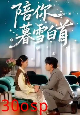 陪你暮雪白首