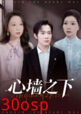 心墙之下