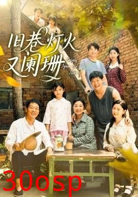 旧巷灯火又阑珊