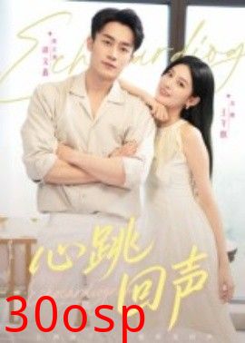 心跳回声