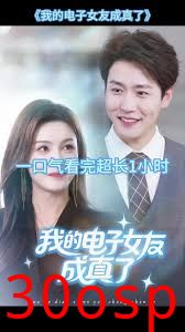 我的电子女友成真了