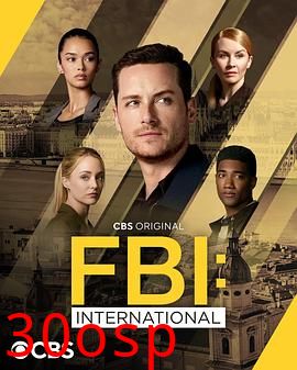 联邦调查局：国际第四季