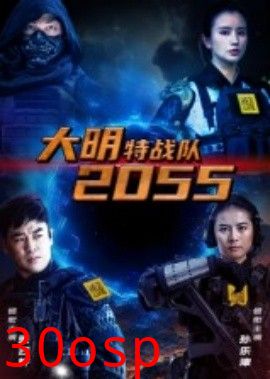 大明特战队2055