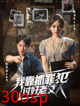 我靠抓罪犯讨好老丈人