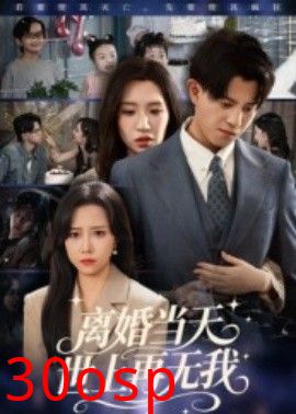 离婚当天世上再无我