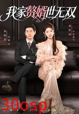 我家赘婿世无双