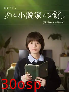 某小说家的日记
