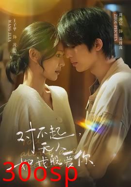 对不起，无人如我般爱你