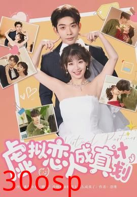 虚拟恋人成真计划