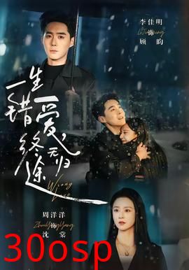 一生错爱，终无归途