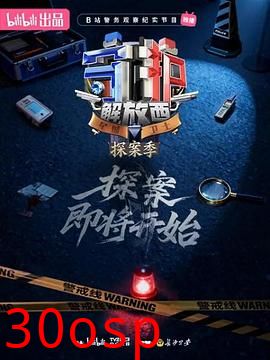 守护解放西·探案季