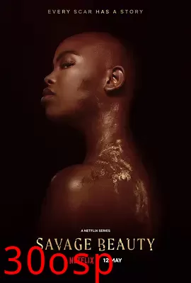 美丽破坏者第二季