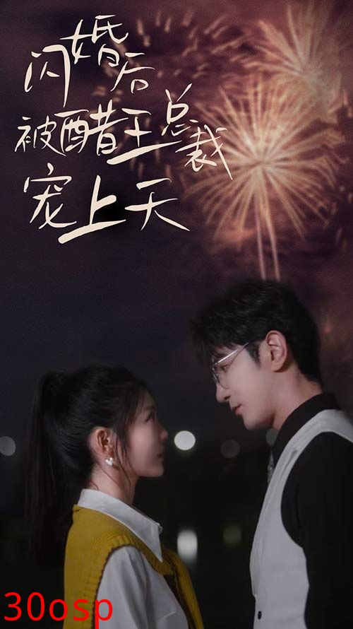 闪婚后被醋王总裁宠上天