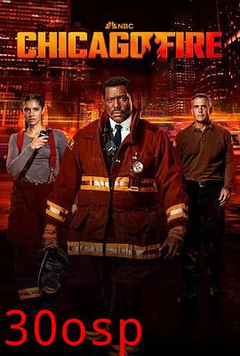 芝加哥烈焰第十二季