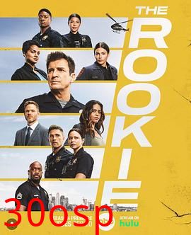 菜鸟老警第六季