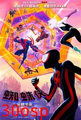 蜘蛛侠：纵横宇宙