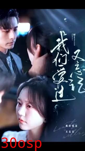 我们爱过又忘记