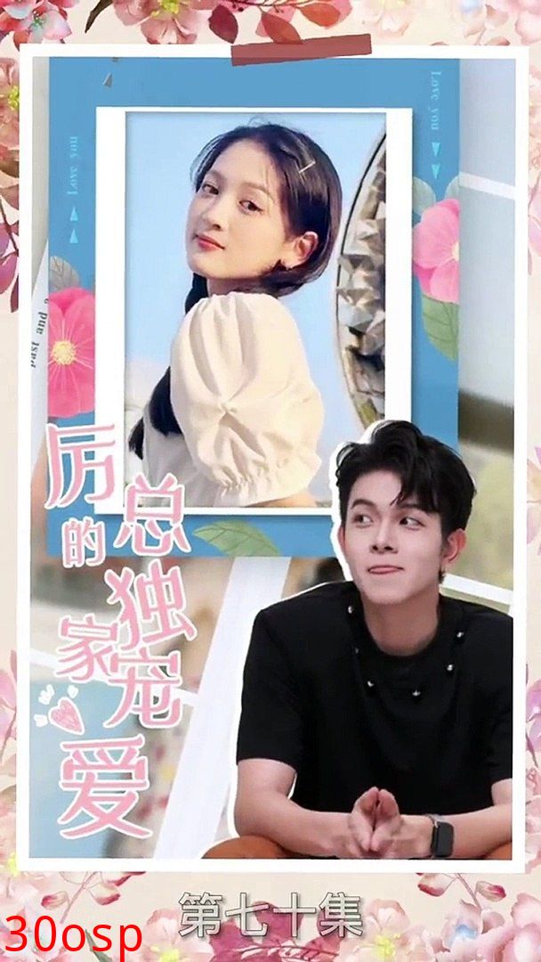 厉总的独家宠爱