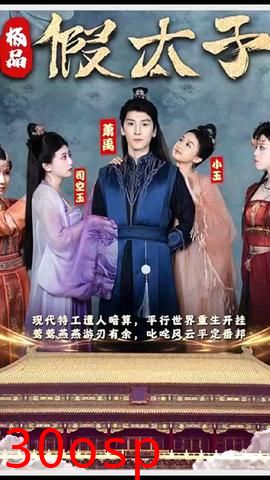 极品假太子（穿越剧）