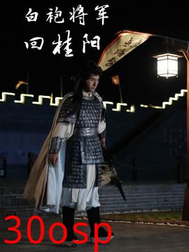 白袍将军回桂阳