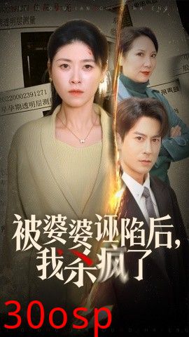 被婆婆诬陷后我杀疯了