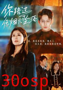 你路过像烟火坠落