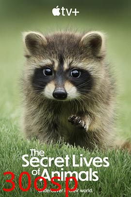 动物的秘密生活