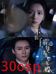 不装了霍总每天都想复婚