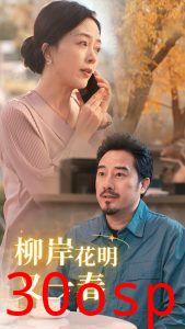 柳暗花明又一春