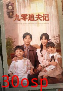 九零追夫记