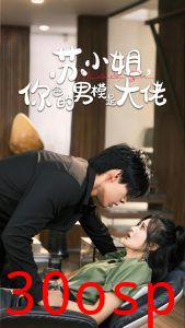 苏小姐你包的男模是大佬＆爱在夜幕降至时