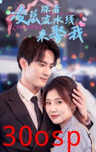 凌总踩着流水线来娶我