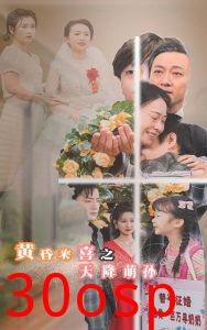 黄昏来喜之天降萌孙