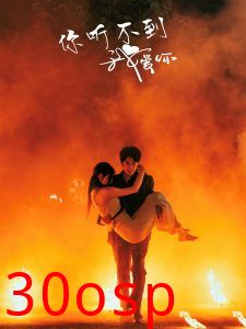 你听不到我爱你