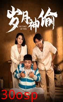 岁月神偷短剧