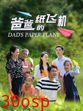 爸爸的纸飞机