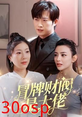 冒牌财阀是大佬