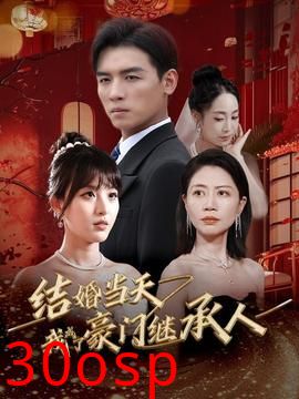 结婚当天我成了豪门继承人