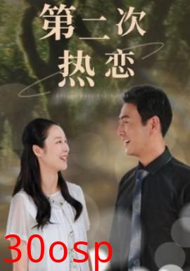 第二次热恋