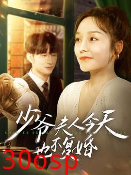 少爷夫人今天也不复婚