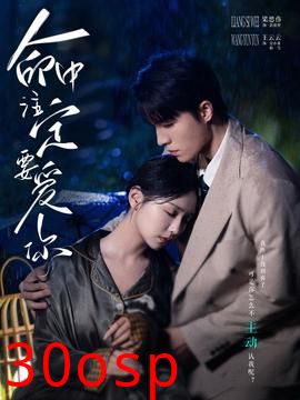 命中注定要爱你短剧版